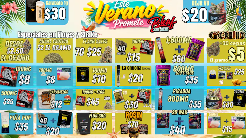 B-Leaf ESTE VERANO PROMETE ☻