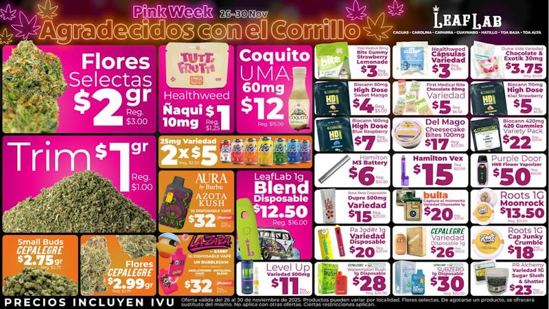 Leaf Lab - Carolina 🟢LEAF LAB OFERTAS🟢