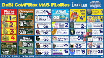 Leaf Lab - Ponce 📸 DeBÍ CoMPRar MáS FLoRes 🌱