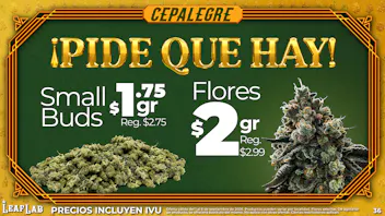 Leaf Lab - Caguas 🍁 ¡PIDE QUE HAY! - Cepalegre en Leaf Lab❗️