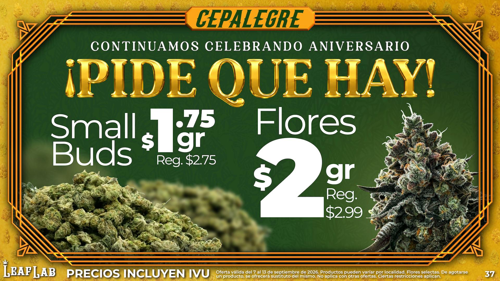 Leaf Lab Barceloneta 🍁 ¡PIDE QUE HAY! - Cepalegre en Leaf Lab❗️