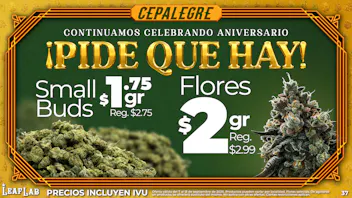 Leaf Lab - Ponce 🍁 ¡PIDE QUE HAY! - Cepalegre en Leaf Lab❗️
