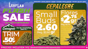 Leaf Lab - Barceloneta ⚡️ Flash Sale ✨ - Leaf Lab