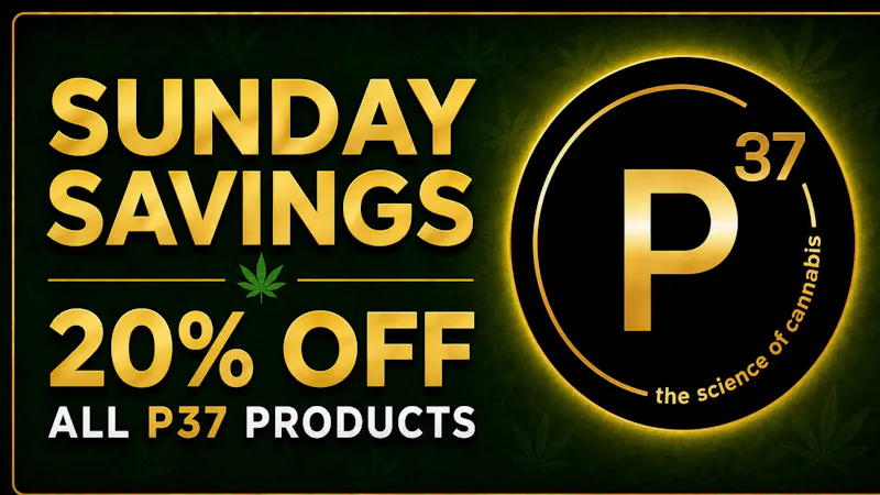 Prohibition 37 – Sunland Park Sunday Savings