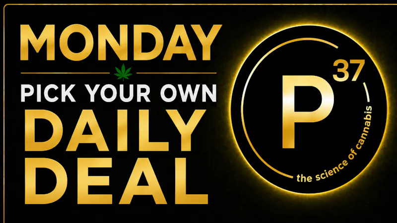 Prohibition 37 – Sunland Park Monday Pick Your Own Daily Deal