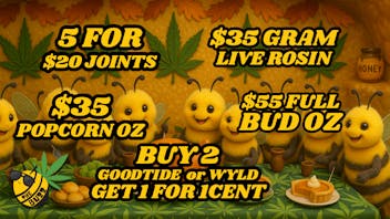 THE BUZZ the buzz trinidad nov