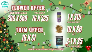 Nuve WELCOME DECEMBER 🎄☁️