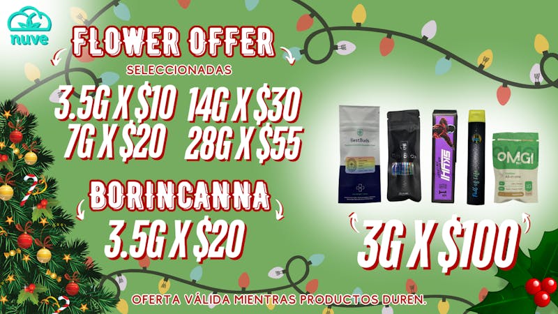 Nuve NUVE HOLIDAY DEALS🎄☁️