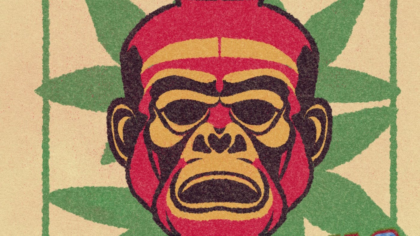 Red Gorilla Greens Delivery West Weekend Bundle: Buy Two get One 50% off!