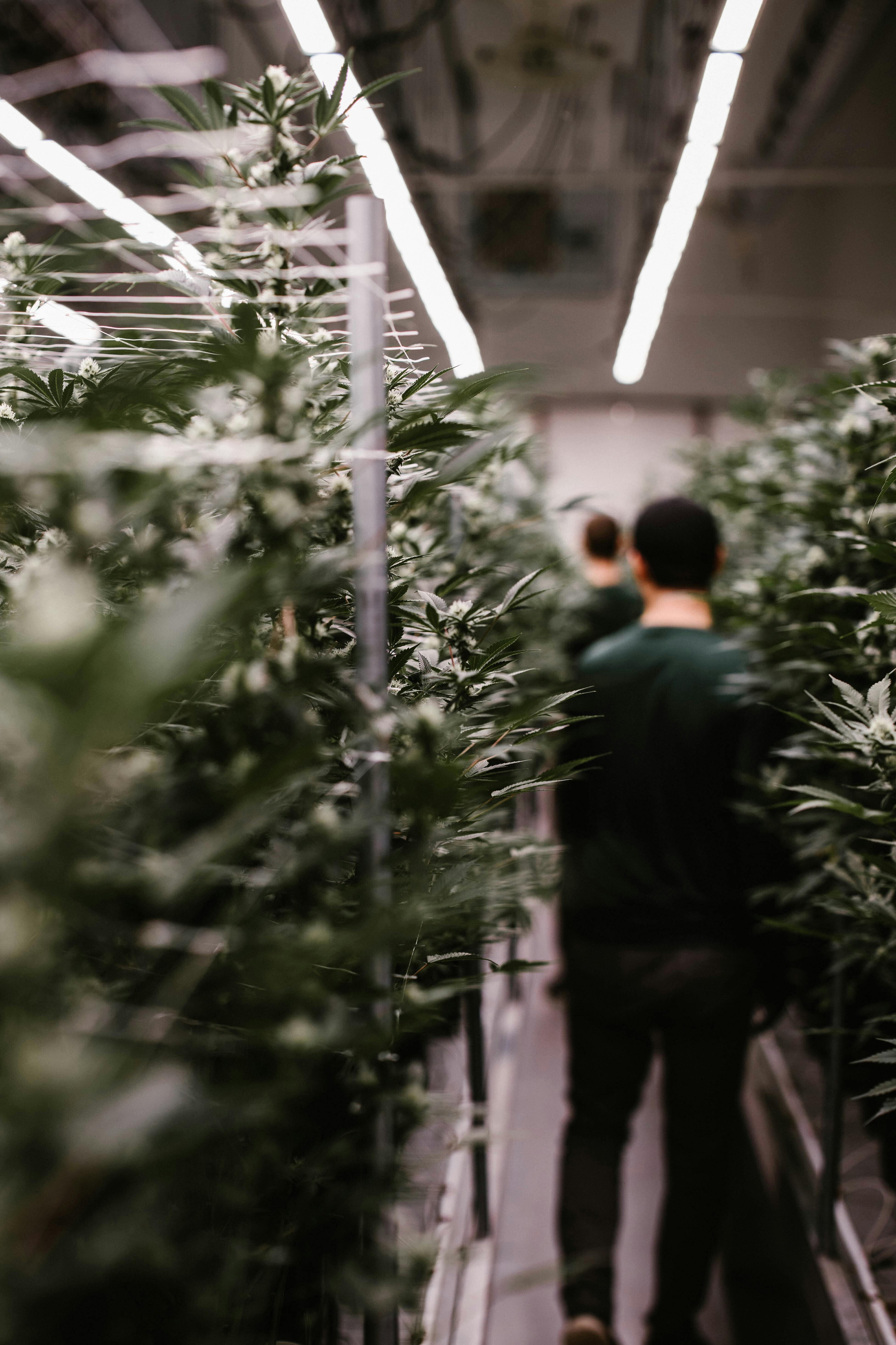 Archer Farms - Curbside Pickup - Delivery Listing - Photo 1