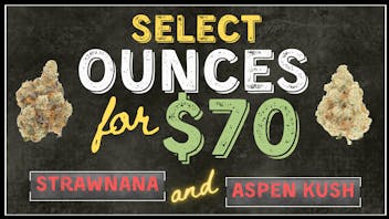 420 Hangar - Curbside Pickup by Appointment, and Delivery $70 OZ on Select Strains!