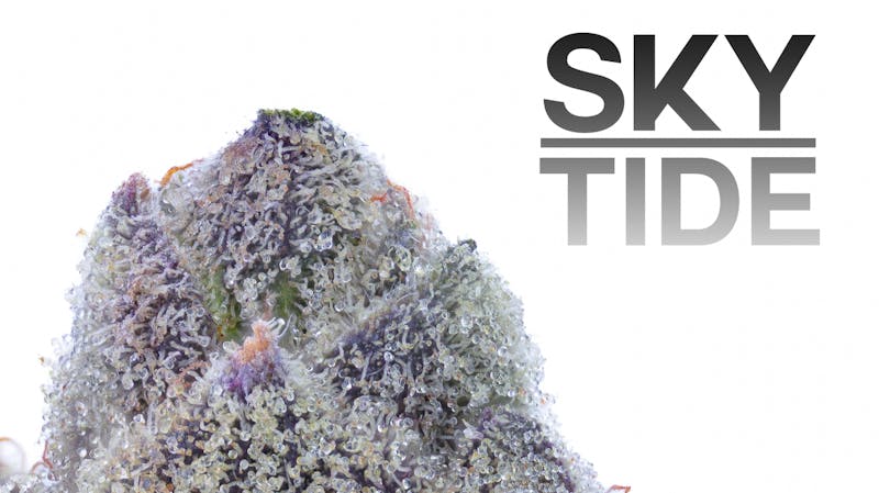 Selective - Recreational BLACK FRIDAY BLOWOUT! BIG MONEY SAVINGS!