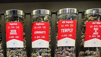 Kaleafa Cannabis Company - Ashland 25% Off Storewide - Green Wednesday