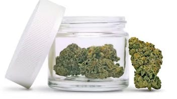 Kaleafa Cannabis Company - Oak Harbor 30% Off Storewide - Green Wednesday Sale