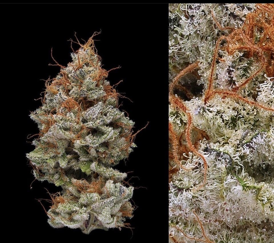 Real Fire Society - Delivery Listing - Photo 2