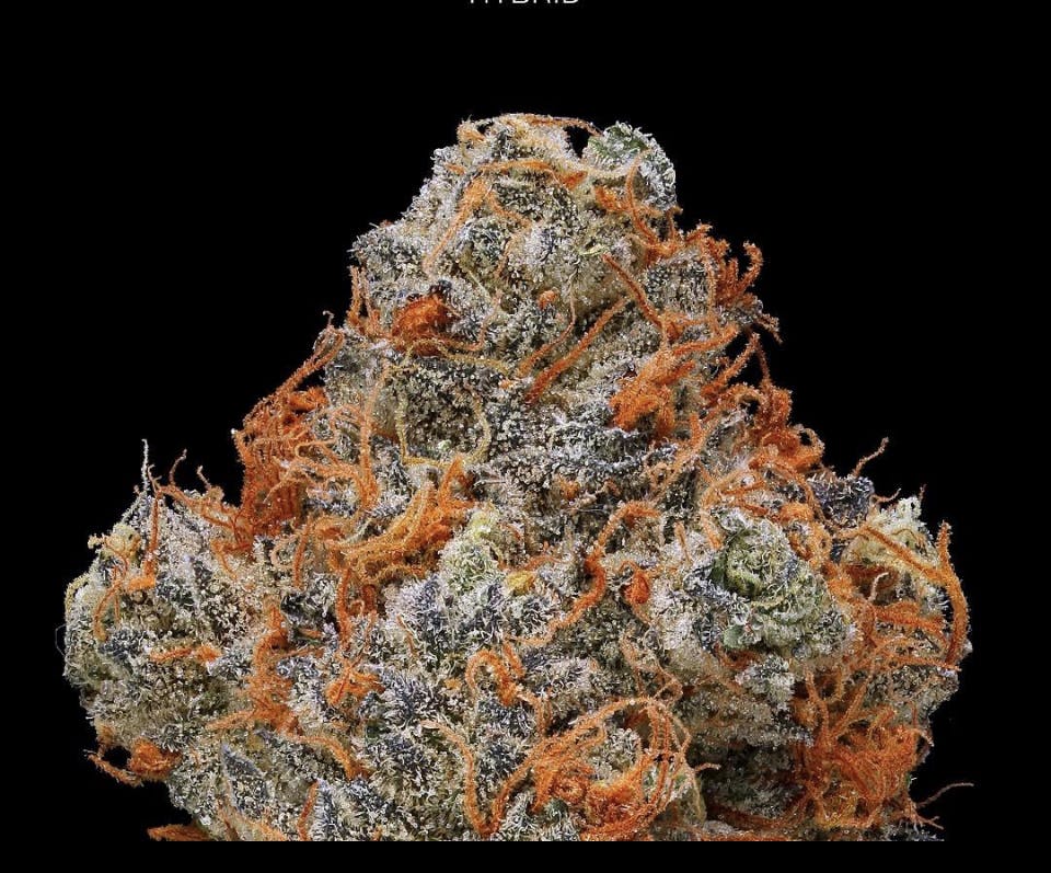 Real Fire Society - Delivery Listing - Photo 3