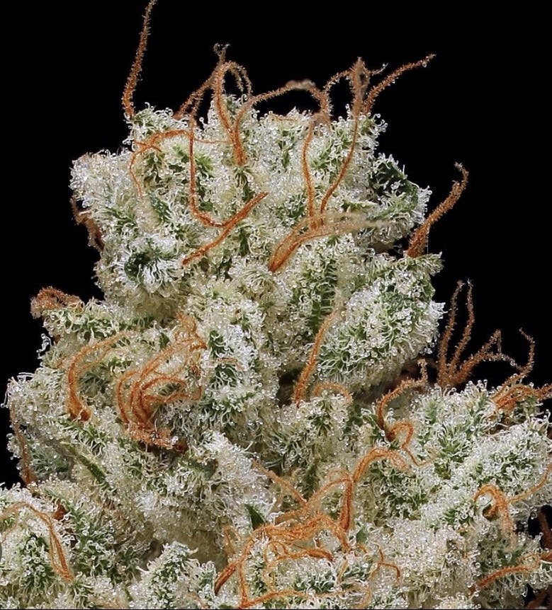 Real Fire Society - Delivery Listing - Photo 1