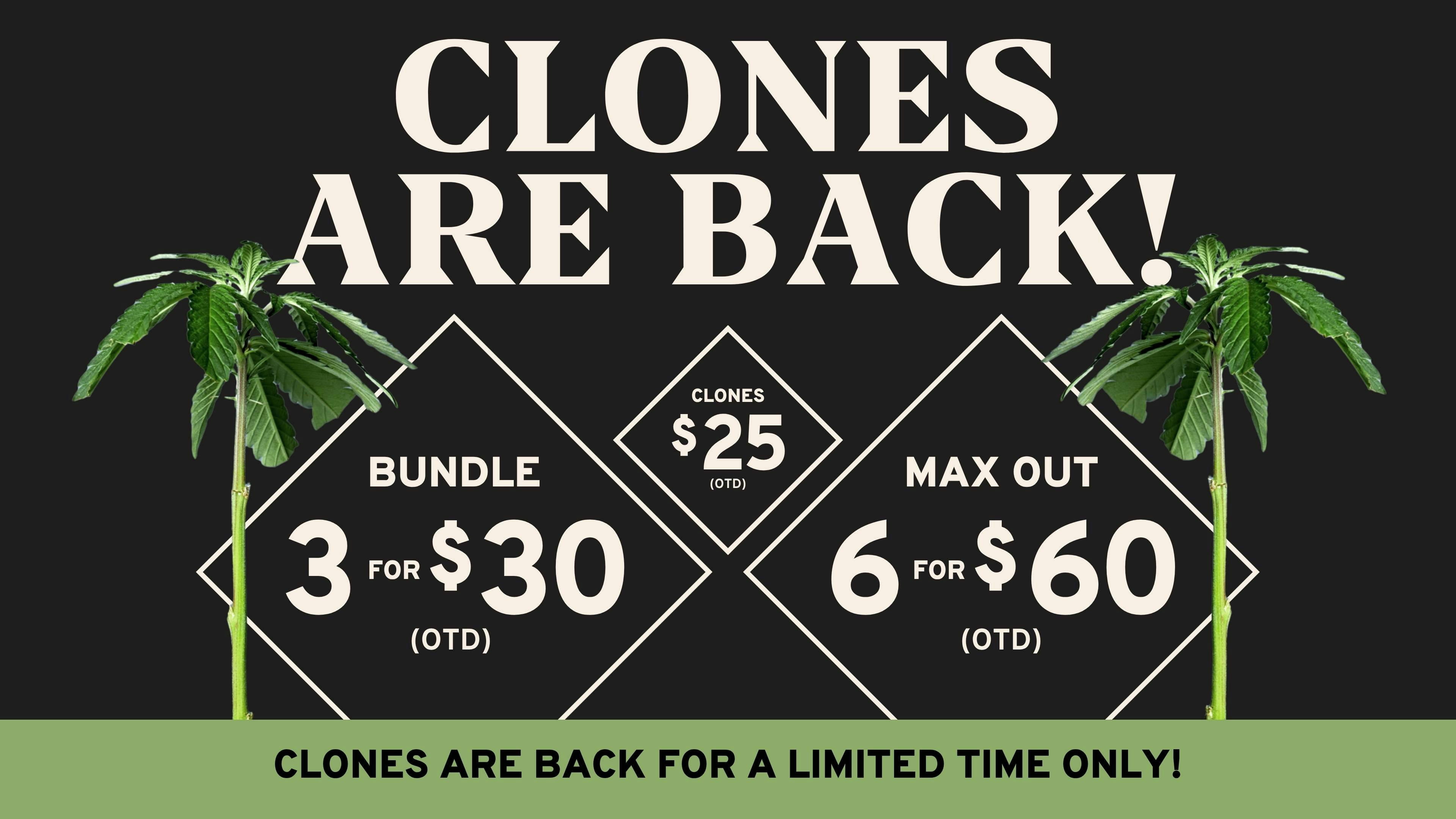 Seed & Smith Cannabis 3/$30 OTD Clone Deal for a Limited Time