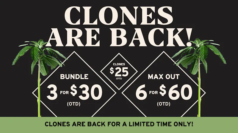 Seed & Smith Cannabis 3/$30 OTD Clone Deal for a Limited Time
