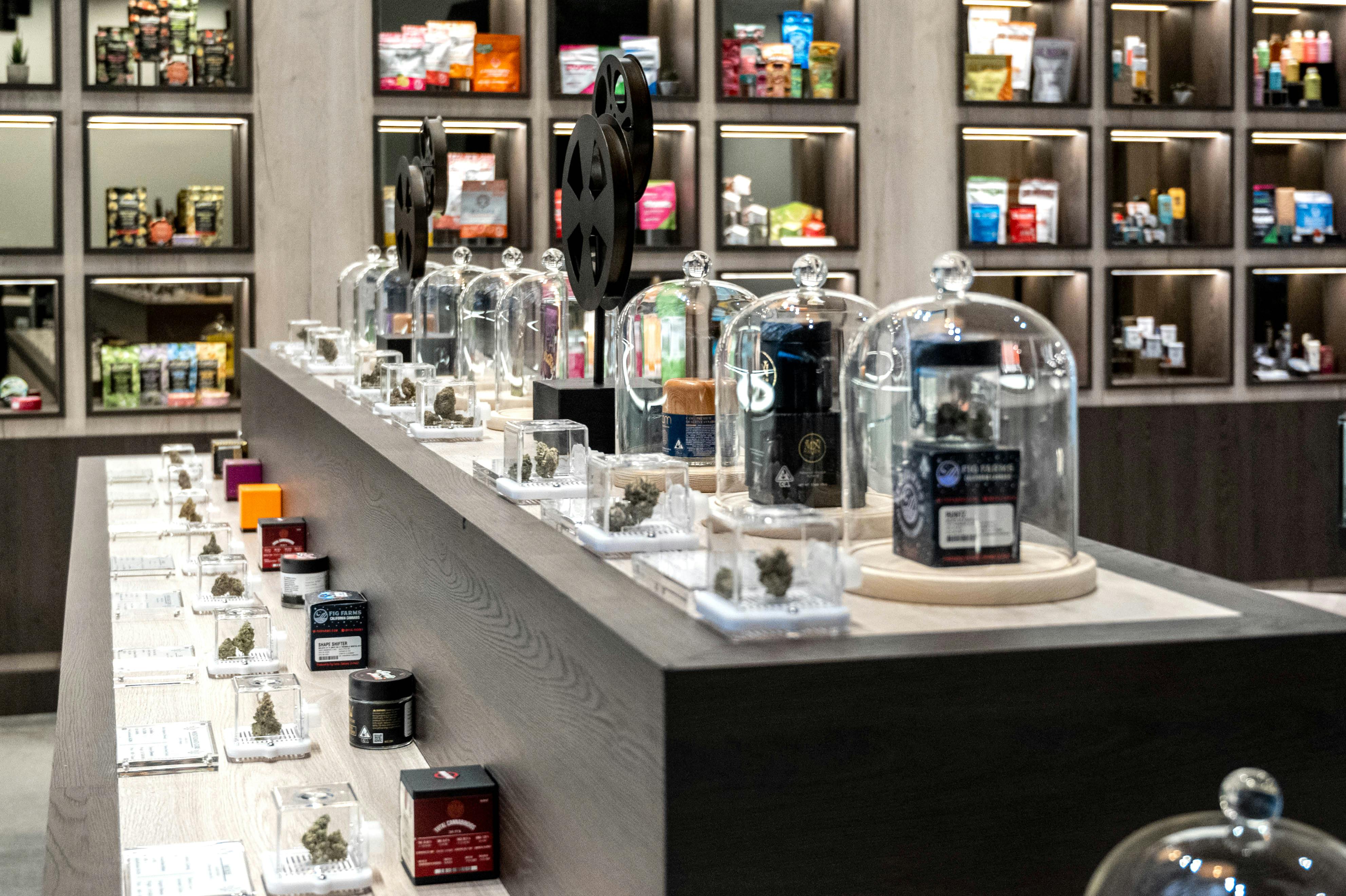 The Set Los Feliz - Dispensary Listing - Photo 3