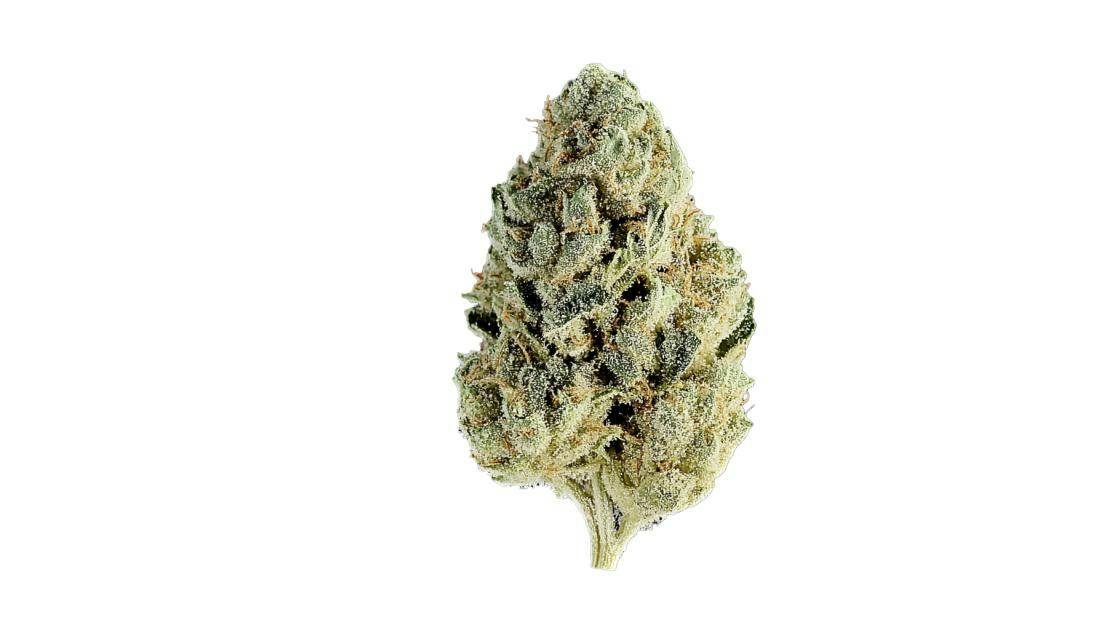 Glazed and Confused 30% off Pleasantrees flower