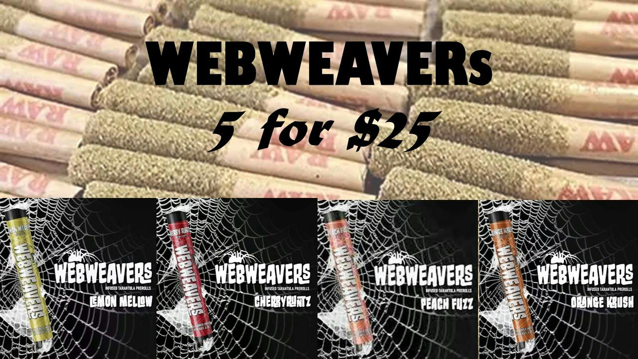 Glazed and Confused Web Weaver Tarantula $6.00