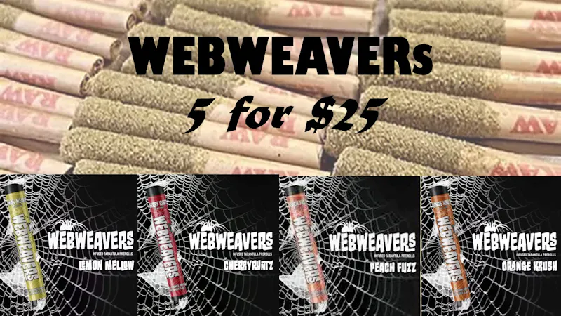 Glazed and Confused Web Weaver Tarantula $6.00