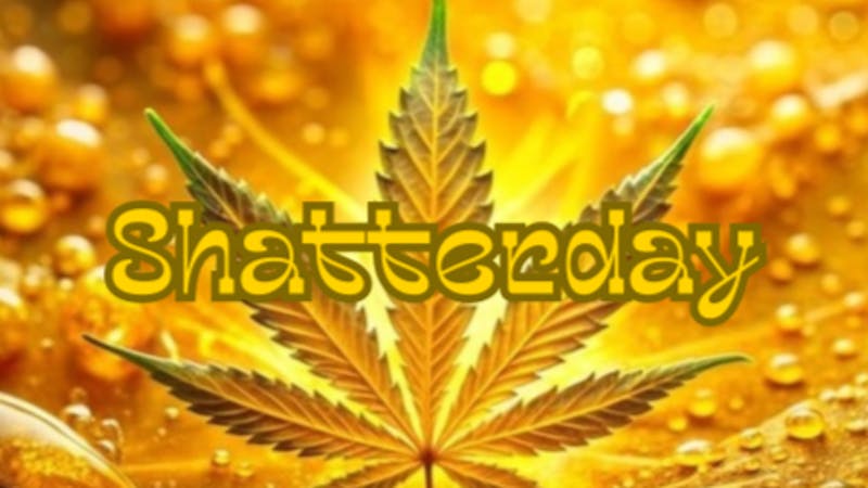 Mississippi Magnolia Canna - West Point Shatterday Sale!!!