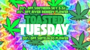 Mississippi Magnolia Canna - West Point Toasted Tuesday