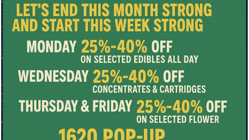 Mississippi Magnolia Canna - Columbus WIND DOWN/WIND UP WEEK LONG SALE EVENT !!