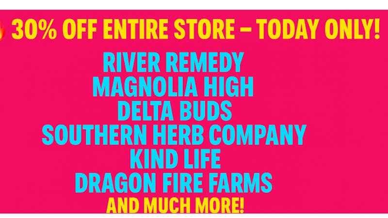 Mississippi Magnolia Canna - Columbus 50 % OFF GOOD DAY AND BIG RIVER TODAY ONLY!