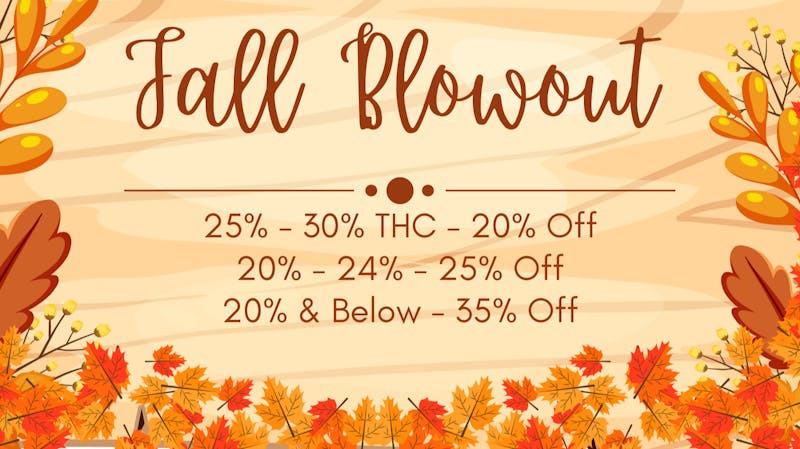 Mississippi Magnolia Canna - West Point Fall Blowout Sale!