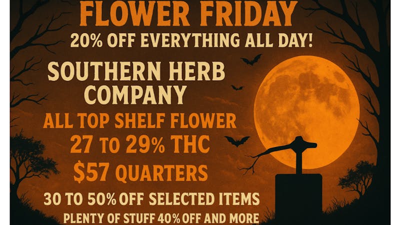 Mississippi Magnolia Canna - Columbus WE'RE GEARING UP FOR BIG HALLOWEEN SALE OCT 31 ST