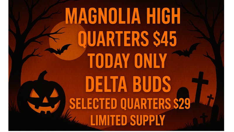 Mississippi Magnolia Canna - Columbus TERRIFIC TUESDAY SALE !!