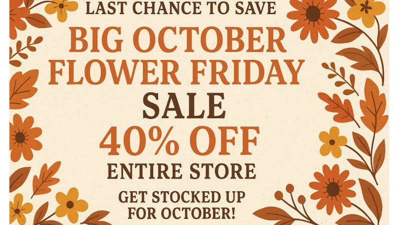 Mississippi Magnolia Canna - Columbus FINAL DAYS OF OCTOBER DEALZ !!!!!