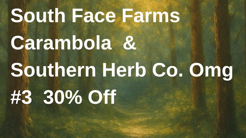 Mississippi Magnolia Canna - Columbus Thirty Thursday