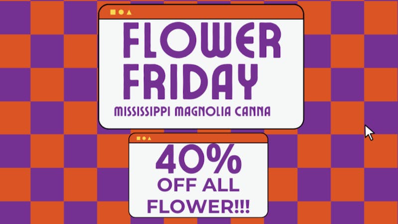 Mississippi Magnolia Canna - West Point Flower Friday BLOWOUT SALE!!!!