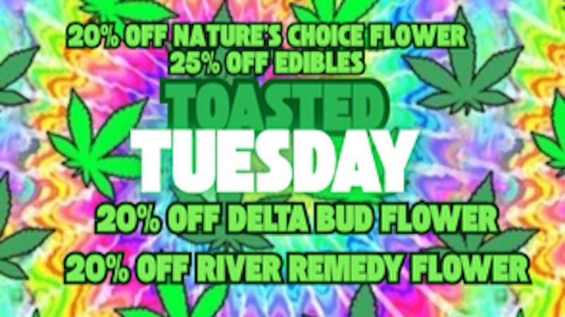 Mississippi Magnolia Canna - West Point Toasted Tuesday!