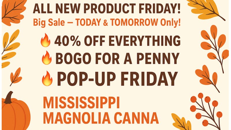 Mississippi Magnolia Canna - Columbus 40% off everything