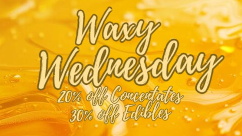 Mississippi Magnolia Canna - West Point Waxy Wednesday!