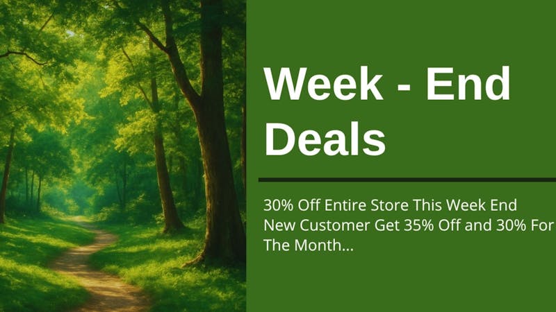 Mississippi Magnolia Canna - Columbus Week - End Deals