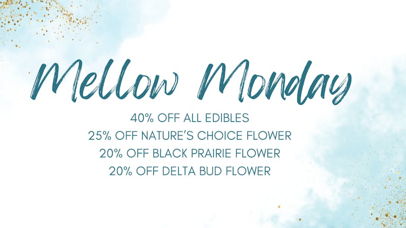 Mississippi Magnolia Canna - West Point Mellow Monday!!!!