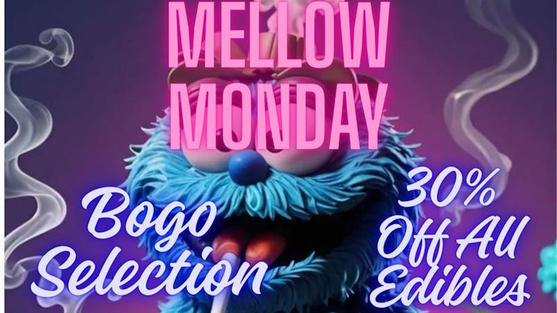 Mississippi Magnolia Canna - Columbus Mellow - Monday