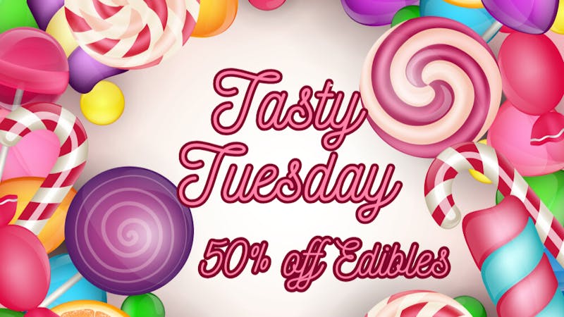 Mississippi Magnolia Canna - West Point Tasty Tuesday!!