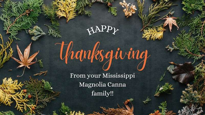 Mississippi Magnolia Canna - Columbus HAPPY THANKSGIVING!!!
