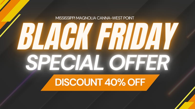 Mississippi Magnolia Canna - West Point Black Friday Blowout!!