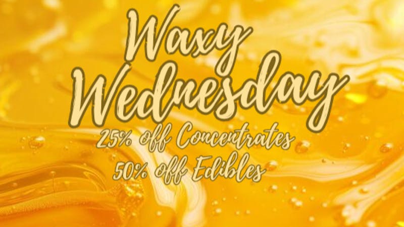 Mississippi Magnolia Canna - West Point Waxy Wednesday!