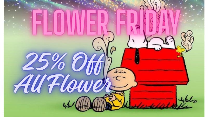 Mississippi Magnolia Canna - Columbus Flower Friday