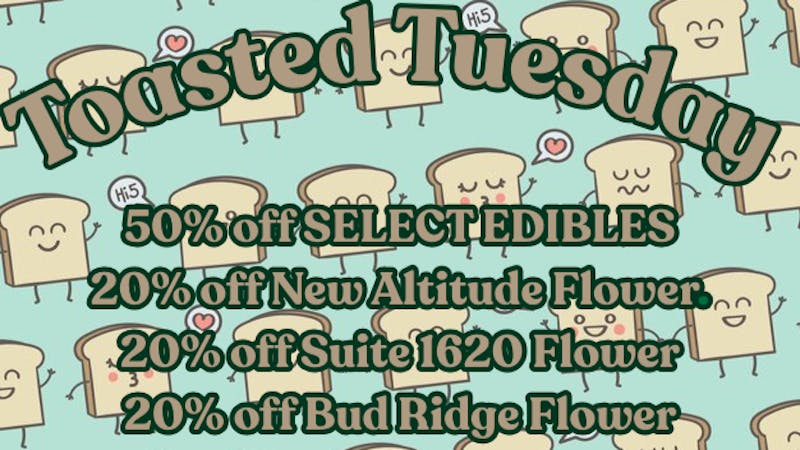 Mississippi Magnolia Canna - West Point Toasted Tuesday!