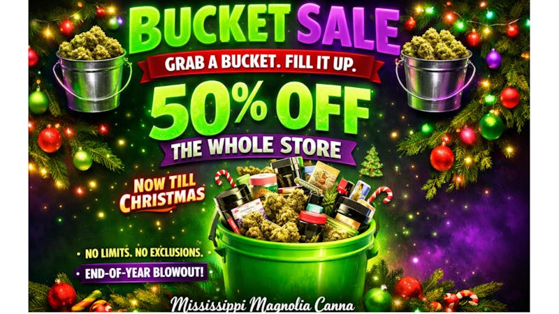 Mississippi Magnolia Canna - Columbus X-MAS COUNT DOWN SALE IS HERE !!